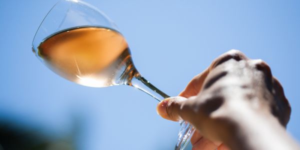 La delicadeza de los vinos rosados
